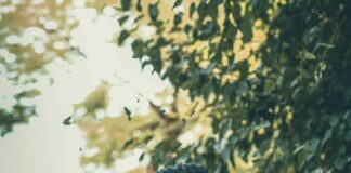 Men’s Thobes for All Occasions and Their Global Influences pexels rohanmuzafar 2455268 wp