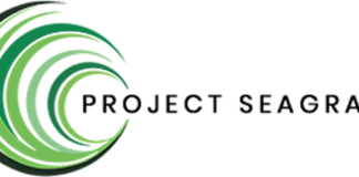 Sefydliad Anllywodraethol o Gymru a Coldplay yn gobeithio y bydd cystadleuaeth newydd yn ysbrydoli creadigrwydd er mwyn achub morwellt y byd. retinalogo dark