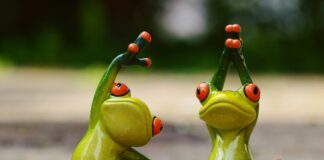 The UK’s most fitness-friendly cities in 2025 sports 927760 1280