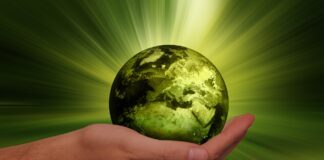 18.8% Decline as Midlands Falters in Sustainability Push sustainability 3300869 1280