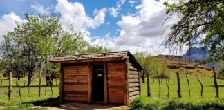 How to turn your shed into a bird haven utah 4846814 1280