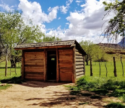 How to turn your shed into a bird haven utah 4846814 1280
