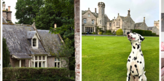 For National Pet Day (11th April), treat your pup to a pet-friendly stay at SCHLOSS Roxburghe, Scottish Borders 5e962f88a41f9226598dd16171500a2ae87757bd