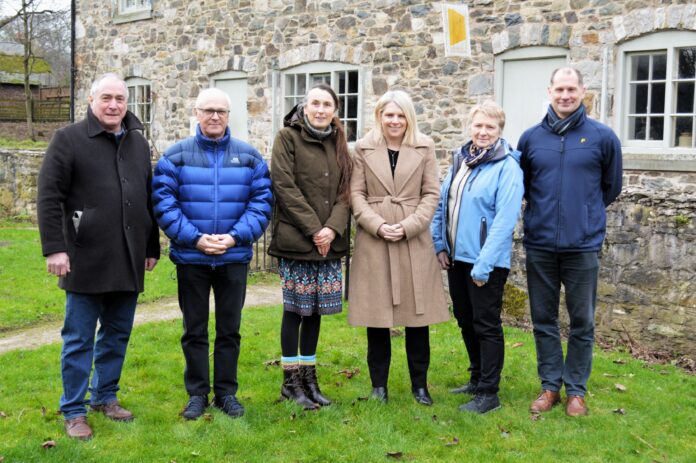 GreenfieldMS3 scaled