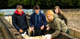 Hwb i hyder darpar fyfyrwyr mewn cyfres o ddigwyddiadau agored y coleg. LLYSFASIagriculture scaled