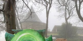 Magical Half-Term Adventures Await in the Pembrokeshire Coast National Park SMALLBabyDragonTrail