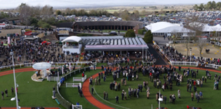 Which Zodiac Signs Are the Luckiest at Cheltenham? We’ve Got the Data Screenshot 2025 02 26 at 12.54.34