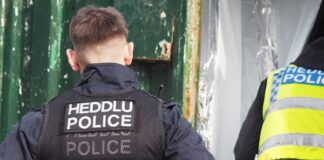 Dyfed-Powys Police’s biggest drugs operation takes £12 million of cannabis out of the supply chain day two kidwelly 30 small