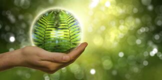 The Green Air Bubble natural reserve 6741474 1280