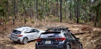 Motorists could be fined £1,000 for missing this simple one-minute maintenance step pexels alteredsnaps 11794402