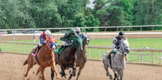 Comparing the Grand National and the Kentucky Derby: Two Legends of Horse Racing pexels coldbeer 277046249 20742501 scaled