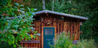 Spruce up your shed for spring school 4971178 1280