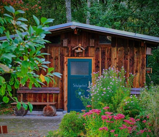 Spruce up your shed for spring school 4971178 1280