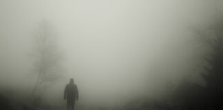 SEVEN QUESTIONS THAT YOU SHOULD ASK IF YOU ARE FEARFUL YOU ARE BEING STALKED stroller 486583 1280