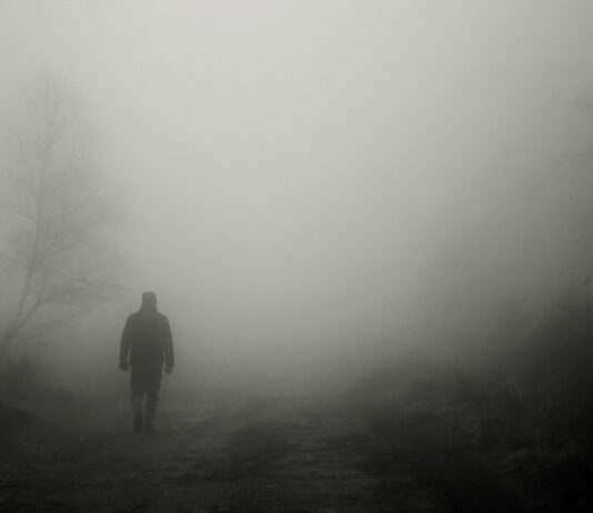 SEVEN QUESTIONS THAT YOU SHOULD ASK IF YOU ARE FEARFUL YOU ARE BEING STALKED stroller 486583 1280