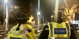 Tackling domestic abuse during the Six Nations vawg sm graphics