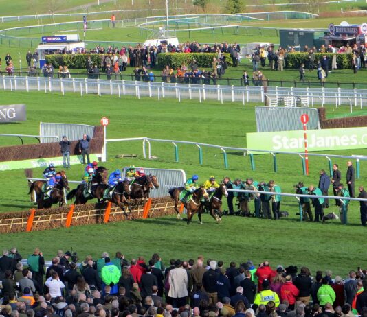 5 Facts You Didn’t Know About Cheltenham Festival 1396px Champion Hurdle 13179141823