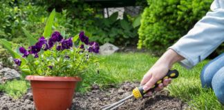 Manchester named best UK city to garden in 1e32cd8e 55b4 4fac 8a85 79c001fff74c