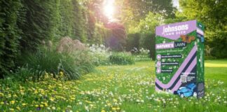 The year of rewilding and the importance of wildflower habitats in the garde 3d11ef08076b4471913536d1d64ea195