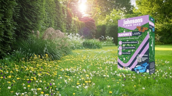 3d11ef08076b4471913536d1d64ea195 3d11ef08076b4471913536d1d64ea195