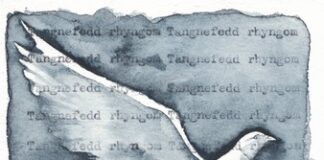 Jackie Morris Exhibits at Oriel Y Parc 47de8ef0 234e 3b21 6870 710c5f89c441