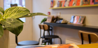 Nibbies 2025 Small Press Regional and Country Winners Dead Ink Books