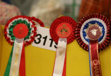 Spring Festival 2025 a6193c89 deab a4c4 de7f 58832e6f9848 scaled