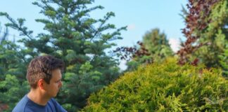 Gardeners warned cutting back hedges could result in fines this spring free photo of a person in a garden