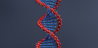 How technology is helping ecologists with research and conservation gene 6527964 1920