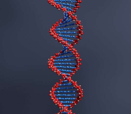 How technology is helping ecologists with research and conservation gene 6527964 1920