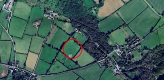 Sanctuary & Memorial Plea memorial pond g earth