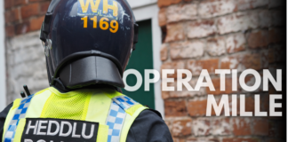 Cannabis worth over £860,000 seized in one week during police crackdown op mille facebook and soh photo eng