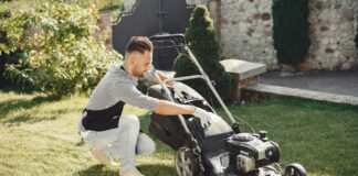 Chemical free alternatives to use in the garden this spring pexels gustavo fring 5163433