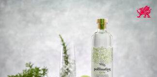 UNESCO valley in Wales gets protected geographical status …. for gin! Dyfi Distillery Pollination Gin