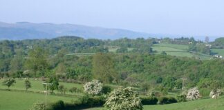Rare chance to book a pre-Easter break on popular Mid Wales farm Ty Gwyn Farm view