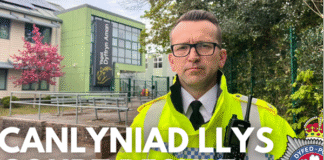 Teenage girl sentenced for attempted murder at Carmarthenshire school op jenning court result bilingual