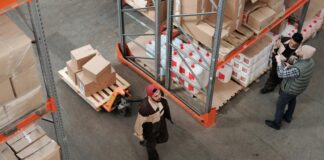 Boosting Your Business with Scalable Packaging Solutions pexels tiger lily 4481259 scaled