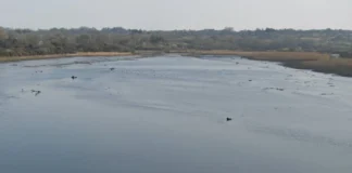 Teifi River Fifth Most Polluted In UK, Figures Suggest teifi g s view