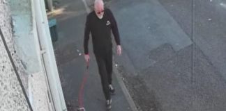 Council looks for help to identify individual following dog fouling offence untitled design 49