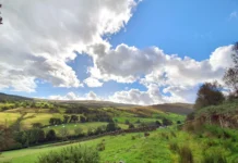 Farmers’ Union of Wales Comments On UK-EU Trade Deal Landscape 1