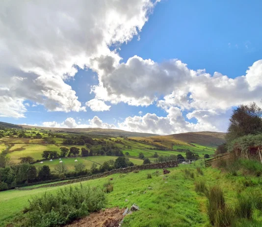 Farmers’ Union of Wales Comments On UK-EU Trade Deal Landscape 1