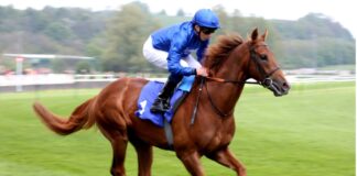 Four jockeys to follow in the 2025 flat racing season Picture 1