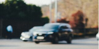 From Communities to Companions: A Look at Evolving Support for Pet Owners Picture 5jpg