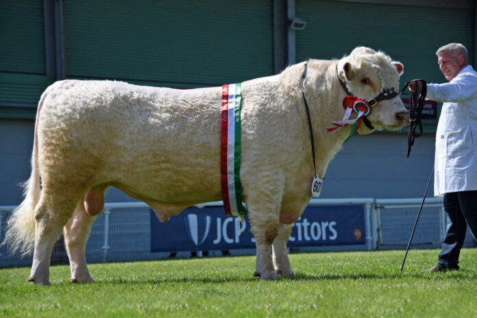 RWAS spring fest beef champion