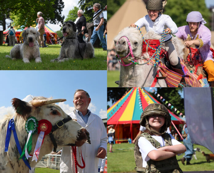Royal Welsh Spring Fest copy