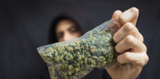 7 Modern Ways People Are Consuming Cannabis in 2025 Screenshot 2025 05 09 at 11.29.55