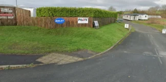 Doggy Daycare Plans doggy daycare g s