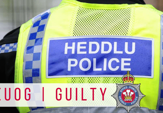 Carmarthenshire man found guilty of attempted murder following Carmarthen Park stabbing guilty 2
