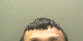 Swansea man jailed after torching rival’s car and homophobic abuse against police officer jamie paton swp