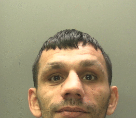 Swansea man jailed after torching rival’s car and homophobic abuse against police officer jamie paton swp